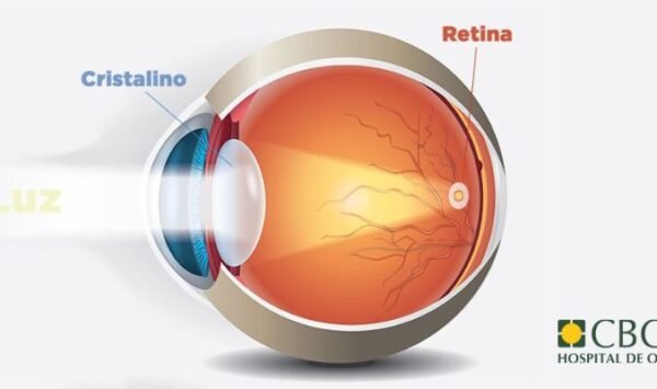 o que é retina?